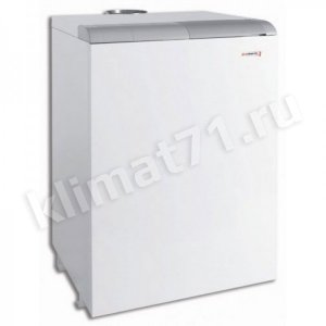 PROTHERM Медведь 50 TLO