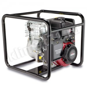 Briggs & Stratton WP2-60