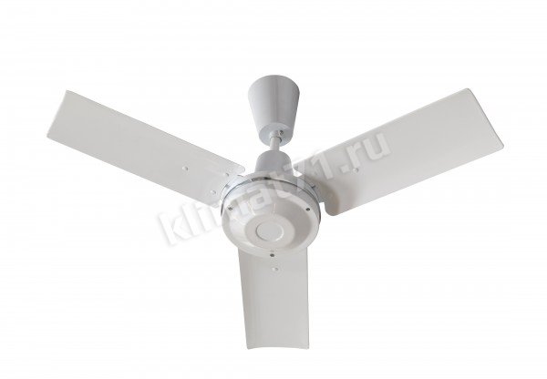 Master E36202 Master E36202